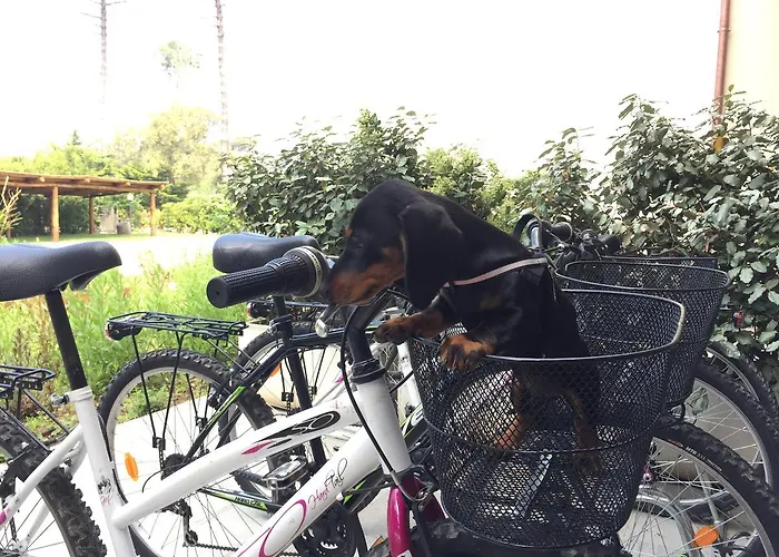 Arli Hideaway - Adults Only Punta Ala