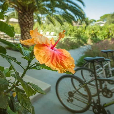 Hotel Arli Hideaway - Adults Only